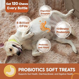 Probiotics for Dogs, Dog Probiotics for Digestive Health, Plus Pumpkin and Fish Oil, for Gut & Itchy, 120 Soft Chews