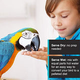 Hari Hagen Tropimix Enrichment Food for Small Parrots, 20 lb. (9.07 kg) - HARI Small Parrot Food with Seeds, Fruit, Nuts, Vegetables, Grains, and Legumes