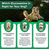 LIQUIDHEALTH 32 Oz K9 Liquid Glucosamine for Dogs, Puppies and Senior Canines - Chondroitin, MSM, Hyaluronic Acid – Joint Health, Dog Vitamins Hip Joint Juice, Dog Joint Oil (2-Pack)