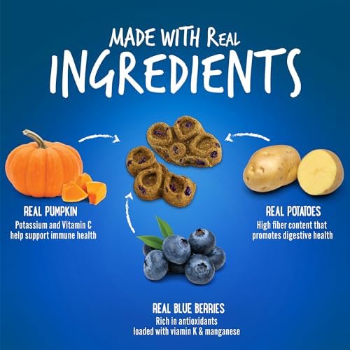 Fruitables Biggies Dog Biscuits – Crunchy Dog Biscuits Made with Pumpkin – Healthy Dog Treats Packed with Real Fruit Flavor – Free of Wheat, Corn and Soy – Pumpkin & Blueberry – 16 oz