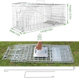 Live Animal Trap for Possum, Groundhog,Gopher,Beaver,Folding Raccoon Trap,Humane Live Animal Cage, Humane Small Animal Trap 32 X 12 X 12.5Inch Animal Trap,Catch & Release,Easy Installation and Use