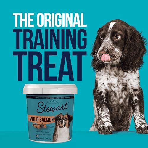 Stewart Single Ingredient Freeze Dried Raw Dog Treats, Wild Salmon, 9.5 Ounce Resealable Tub, Training Treats or Meal Topper for All Size Dogs, High Protein, Grain-Free, Gluten-Free