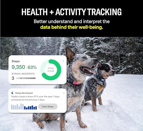 Fi Series 3 Smart Dog Collar - GPS Dog Tracker and Activity & Fitness Monitor, Waterproof, LED Light, Escape Alerts, Nationwide Coverage [Free 6 Month Membership] (Yellow, X-Small)