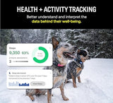 Fi Series 3 Smart Dog Collar - GPS Dog Tracker and Activity & Fitness Monitor, Waterproof, LED Light, Escape Alerts, Nationwide Coverage [Free 6 Month Membership] (Pink, Medium)