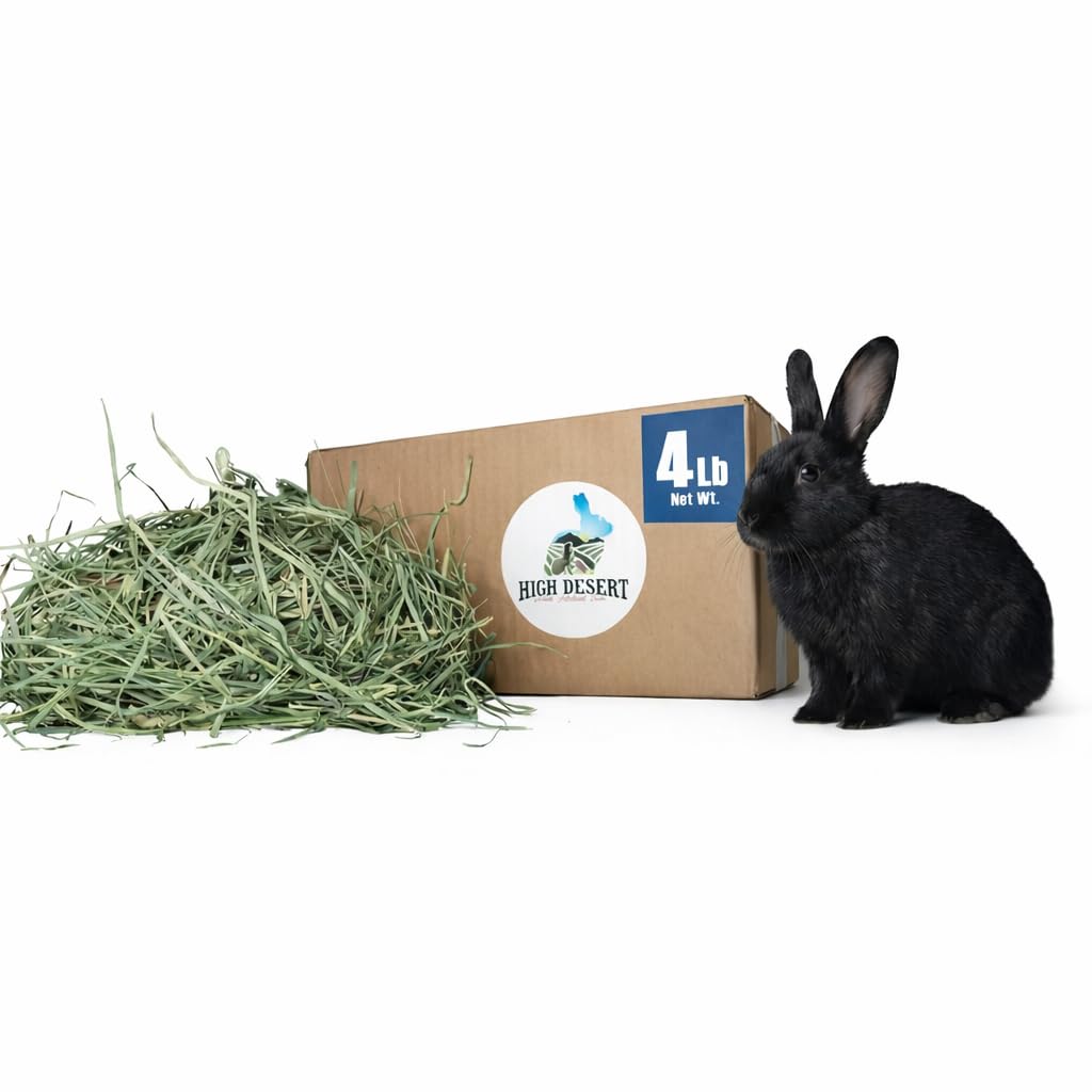 High Desert Orchard Grass Hay, Natural Orchard Hay for Rabbits Guinea Pigs Hamsters and Chinchillas, Soft Leaf Texture for Grazing and Foraging, Small Pet Supplies, Fresh Hand Packed Hay Box, 4 Lb