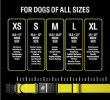Fi Series 3 Smart Dog Collar - GPS Dog Tracker and Activity & Fitness Monitor, Waterproof, LED Light, Escape Alerts, Nationwide Coverage [Free 6 Month Membership] (Yellow, X-Small)