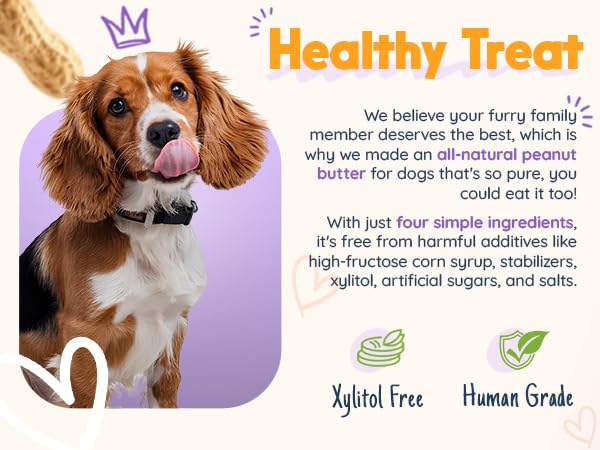 Bow-Wow Blueberry (probiotic + prebiotic) + Cranberry Canine (hip + joint) BUDDY BUDDER, 100% Natural Dog Peanut Butter, Healthy Peanut Butter Supplements, Made in USA (17oz jars)