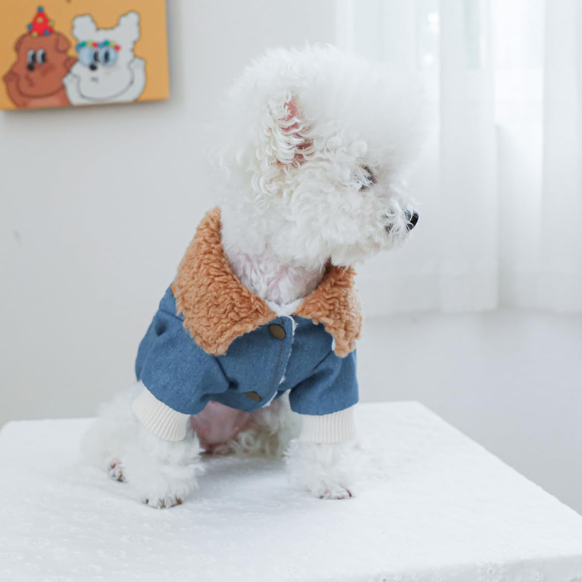Dog Leather Jacket Fleece Lined Puppy Leather Coat Small Dog Winter Stylish Jacket Cold Weather Chihuahua Yorkie Warm Windproof Waterproof Coats Pet Christmas Holiday Birthday Dog Clothes