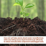 Premium Organic Coconut Coir Bricks - 6 Pack of 13.8 Gallon Bricks for Planting, Gardening, and Potting Soil Substrate. Low EC & pH Balanced 100% Organic Peat Moss Mix with Fiber from Coconut Husks
