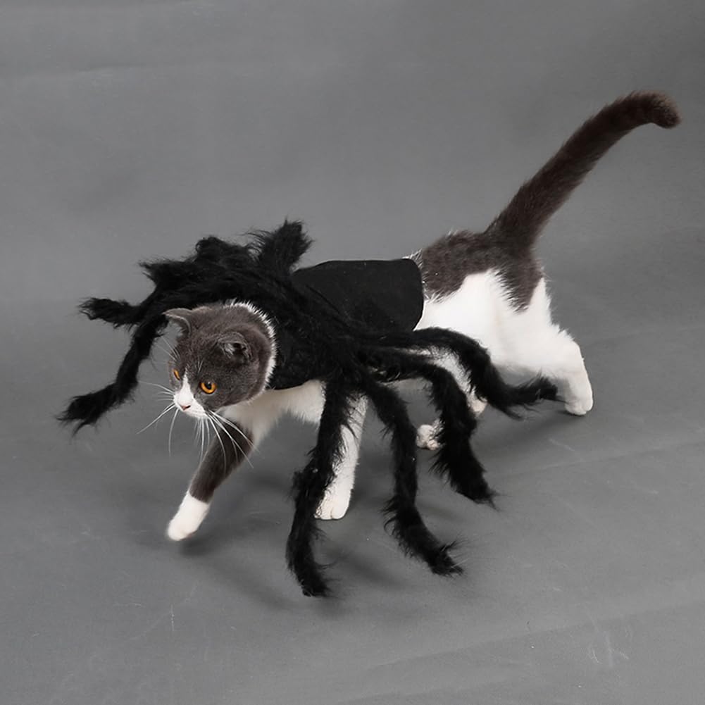 TITA-DONG Halloween Tarantula Costumes, Spider Dog Costume, Artificial Spider Legs, Plush Spider Clothes for Halloween Decorations Accessories(M)