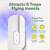 BugMD No Buzz Zone - Refillable UV Bug Zapper, Mosquito Zapper, Flying Insect Trap, Bug Catcher, Plug in Fly Trap Indoor, Flea Trap for Inside Your Home, Gnat and Fruit Fly Traps for Indoors Plug in