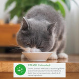 INABA Dashi Delights for Cats, Shredded Chicken with Bonito Flake Broth, 2.5 Ounce Cup, 12 Cups Total, Seafood Variety