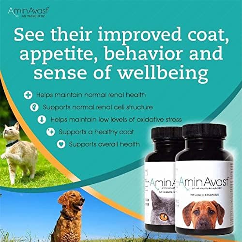 Small Dogs & Cat Kidney Support - Promotes Health Kidney Support in Cats & Small Dogs - 300mg, 60 Capsule