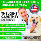 Hemp Hip and Joint Supplement for Dogs - Glucosamine for Dogs - 170 Dog Joint Pain Relief Treats - Chondroitin, Hemp Oil, MSM - Mobility & Flexibility Support - Advanced Care Health - Made in USA