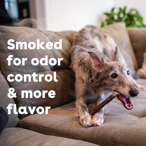 Pupford Thick Bully Sticks for Dogs & Puppies, Smoked for Improved Smell, Natural, Long-Lasting, Single Ingredient Chews for Medium & Large Breeds (12", 10 Count)