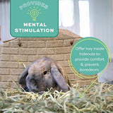 Oxbow Animal Health Orchard Grass Hay - All Natural Grass Hay for Chinchillas, Rabbits, Guinea Pigs, Hamsters & Gerbils - 25 lb.