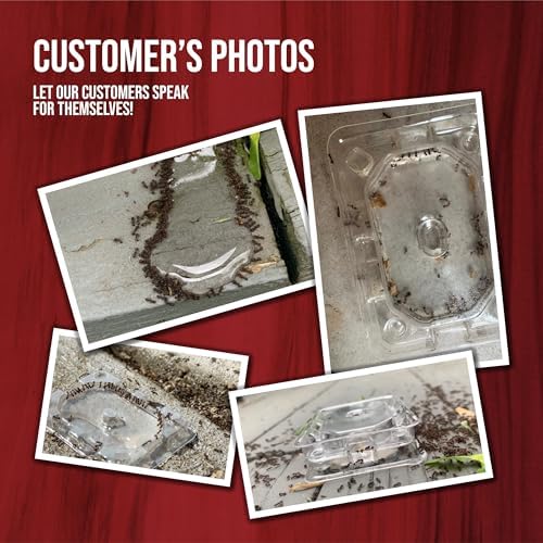 Catchmaster DefiANT Liquid Ant Bait Indoor (50 uses) + 4 Reusable Liquid Ant Bait Stations (2 Stacked), Multi-Surface Pest Control Traps for Home & Outdoor, Reduce & Remove Colonies, American Made