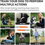 Dog Whistle, Dog Training Whistle with Lanyard, 2 Pcs Adjustable Ultrasonic Silent Dog Recall Whistles, Professional Dog Whistle to Stop Barking Neighbors Dog (Orange & Orange)