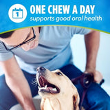 DentaLife ActivFresh Dog Chews for Small and Medium Dogs 20-40 lbs., Dental Chews to Freshen Breath, Chicken Flavor, 15.5 oz., 21 Chews - 21 ct. Pouch