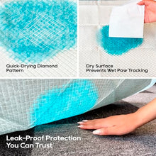 Load image into Gallery viewer, Honey Care All-Absorb, Small 17.5" x 23.5", 120 Count, Dog and Puppy Training Pads, Ultra Absorbent and Odor Eliminating, Leak-Proof 5-Layer Potty Training Pads with Quick-Dry Surface, Blue, A05

