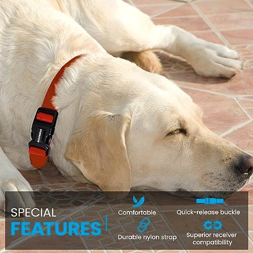 3/4" Nylon Replacement Collar - Shock Collar Replacement Collar, Fence Collar Replacement, Compatible with Pet Safe & Invisible Fence & Fits Most PetSafe Collars (3/4" Black)