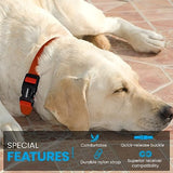 3/4" Nylon Replacement Collar - Shock Collar Replacement Collar, Fence Collar Replacement, Compatible with Pet Safe & Invisible Fence & Fits Most PetSafe Collars (3/4" Black)
