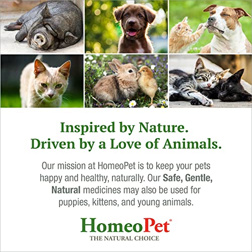 HomeoPet Feline Digestive Upsets, Natural Cat Digestive Support, Digestive Supplement for Cats, 15 Milliliters