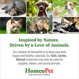 HomeoPet Feline Digestive Upsets, Natural Cat Digestive Support, Digestive Supplement for Cats, 15 Milliliters