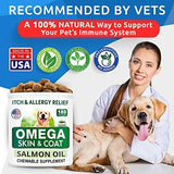 BARK&SPARK Omega 3 for Dogs - 180 Fish Oil Treats for Dog Shedding, Skin Allergy, Itch Relief, Hot Spots Treatment - Joint Health - Skin and Coat Supplement - EPA & DHA Fatty Acids - Alaskan Salmon