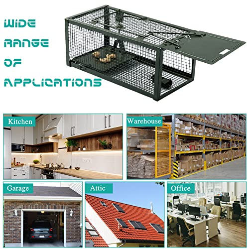 Qualirey 2 Pcs Humane Mouse Trap Live Rat Trap Mice Cage Work for Indoor and Outdoor Mouse Voles Hamsters Catch and Release (Green)