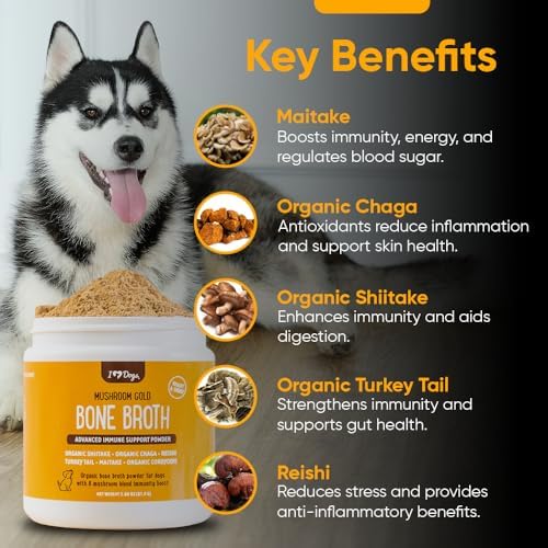 iHeartDogs Bone Broth for Dogs - Bone Broth & Mushroom Gold Powder Supplement for Immune System Support, Improved Mobility & Flexibility and Natural Detox - Turkey Tail Mushroom for Dogs