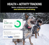 Fi Series 3 Smart Dog Collar - GPS Dog Tracker and Activity & Health Monitor, Waterproof, LED Light, Escape Alerts, Nationwide Coverage [Free 1 Year Membership] (Blue, Large)