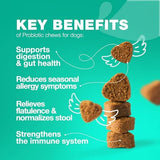 Probiotics for Dogs Gut Health, Digestion, Immunity, Yeast Balance, Itchy Skin, Allergies Support - Dog Probiotic Chews with Digestive Enzymes for Gut Flora- Soft Treats with Pumpkin and Yeast Powder