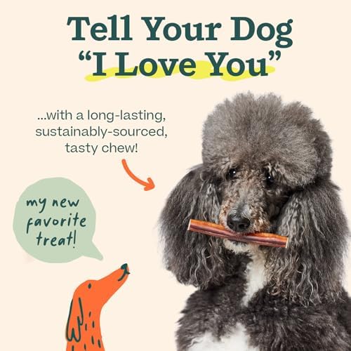 WOOF Bully Sticks Dog Treats - Chew Sticks for Dogs - Long-Lasting Dog Chew Treats - Dog Products Made with Free-Range, Grass-Fed Beef - 6" Sticks - 25pk