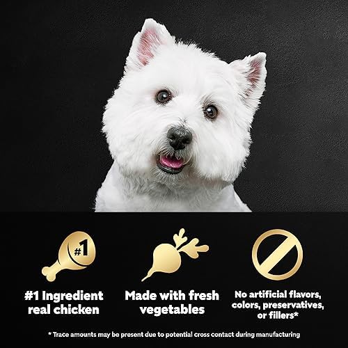 CESAR WHOLESOME BOWLS Adult Soft Wet Dog Food Chicken, Apple & Sweet Potato Recipe, (10) 3 oz. Bowls