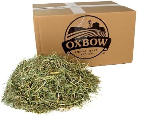 Oxbow Animal Health Orchard Grass Hay - All Natural Grass Hay for Chinchillas, Rabbits, Guinea Pigs, Hamsters & Gerbils - 25 lb.