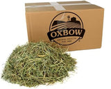 Oxbow Animal Health Orchard Grass Hay - All Natural Grass Hay for Chinchillas, Rabbits, Guinea Pigs, Hamsters & Gerbils - 25 lb.