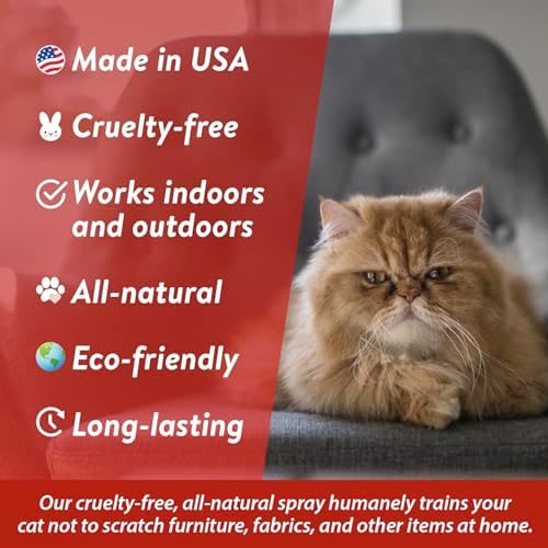 Bodhi Dog No More Scratching! Cat Deterrent Spray - Indoor & Outdoor Repellent with Essential Oils - Prevent Scratch for Furniture - Made in USA (8 oz)