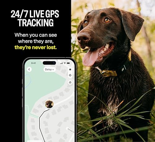 Fi Series 3 Smart Dog Collar - GPS Dog Tracker and Activity & Fitness Monitor, Waterproof, LED Light, Escape Alerts, Nationwide Coverage [Free 6 Month Membership] (Yellow, X-Small)