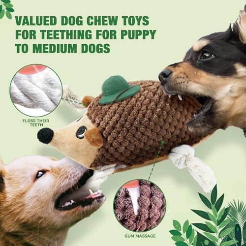 LEGEND SANDY Plush Small Dog Toys for Small Breeds, Tough Puppy Toys to Keep Them Busy, Tough Stuffed Animals Puppy Chew Toys, Squeaky Dog Toys (5 Pack Puppy Toys)
