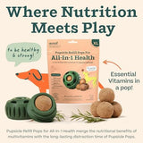 WOOF Pupsicle Refill Pops for All-in-1 Health - Long-Lasting Multivitamin Refills for The Pupsicle Toy - with Vitamins A, B, D, Iron, Magnesium, and Fiber - XL Pops - 5 Count