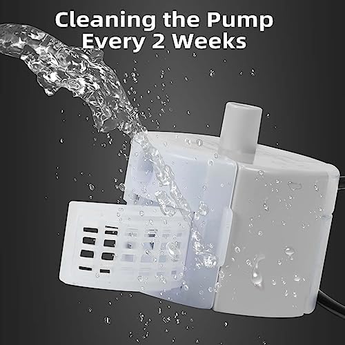 Ultra-Quiet Replacement Pump for Stainless Steel Cat Water Fountains - SMA-800 Motor - Safe and Easy to Clean with Low Voltage DC 5V and USB Cable (Pump+Brush)