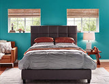 KILZ TRIBUTE Paint & Primer, Interior, Color Sample, True Teal, 8 Ounces