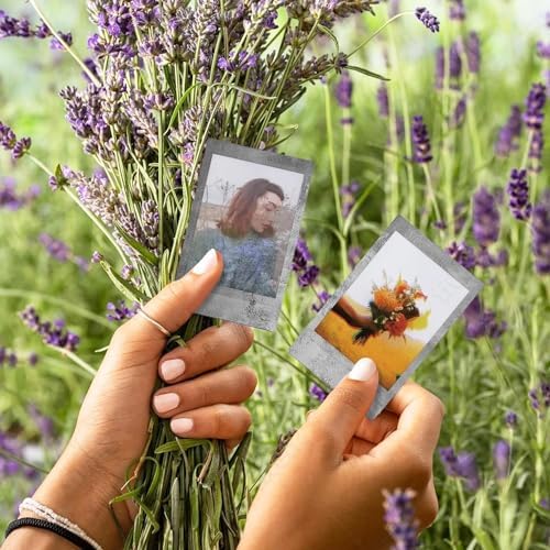 Fujifilm instax Mini Instant Film (50 Exposures: 10 of Each) Black Frame, Spray Art, Monochrome, Contact Sheet, Stone Gray Variety Pack + BluebirdSales Accessories Bundle + Black Photo Album