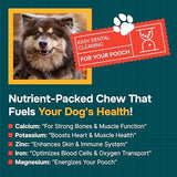 100% Natural - Antlers For Dogs - Elk Antlers for Very Large Dogs - Naturally Shed in USA - Grade A Dog Antler Chews - Dog Chews - Natural, Long-Lasting Treats for Aggressive Chewers - Extra Large