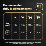 CESAR Adult Wet Dog Food Filets in Gravy Rotisserie Chicken Flavor, 3.5 oz. Easy Peel Trays, Pack of 24