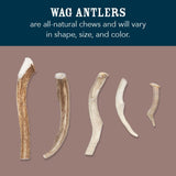 Wag Split Elk Antler, Naturally Shed, Long Lasting for Aggressive Chewers, Large (Best for Dogs 30-45 lbs)