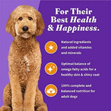 Halo Holistic Dog Food Cage Free Chicken & Brown Rice Formula, Healthy Grains Dry Dog Food, Complete Digestive Health, Kibble for Adult Dogs, 10 lb Bag