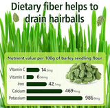 100g/3.52oz Cat Grass Treats, Cat Grass Teething Stick for Hairball Remove and Teeth Cleaning, Edible Cat Grass Stick Snack