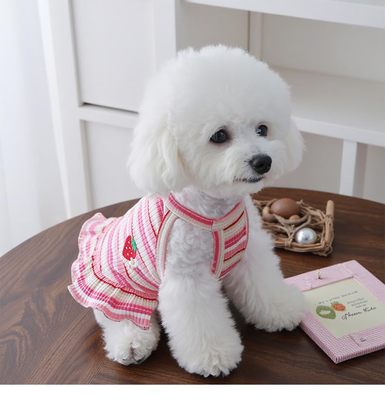 2PCS Charming Striped Dog Dress with Strawberry Patch & Lace Trim, Soft Elastic Cotton Clothes in Pink & Green, Perfect Outfit for Small Dogs, Puppies & Cats(2PCS A,XL)